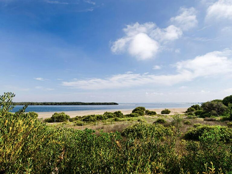 Towra Point Nature Reserve. Photo: John Spencer/NSW Government
