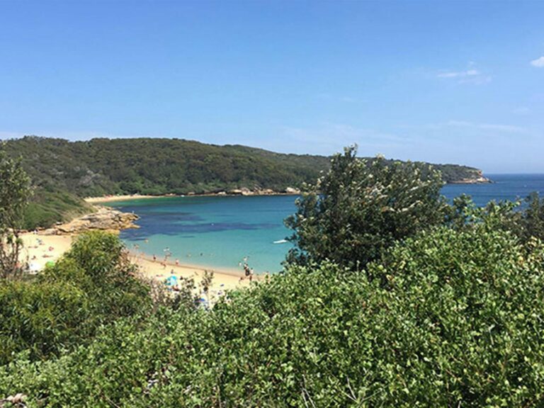 Views of Little Congwong Beach from Henry Head walking track. Photo: Natasha Webb © OEH