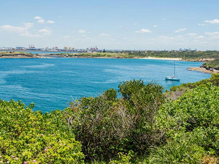 Henry Head walking track, Kamay Botany Bay National Park. Photo: John Spencer © OEH