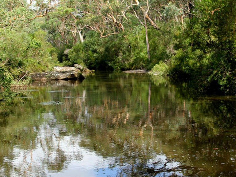 Heathcote Creek surrounded by bushland in Heathcote National Park. Photo: John Yurasek © DPIE