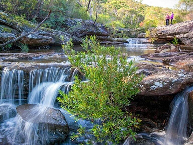 Kingfisher Pool picnic area, Heahtcote National Park. Photo: Nick Cubbin © OEH