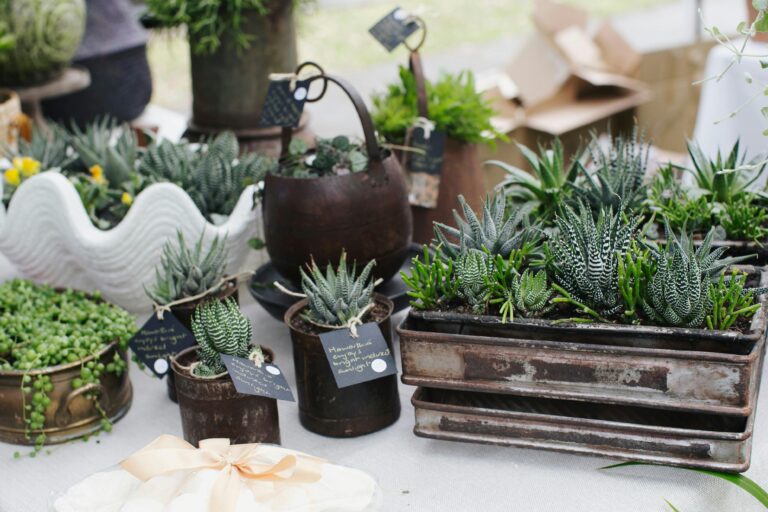 plant stall - Villa Botanique