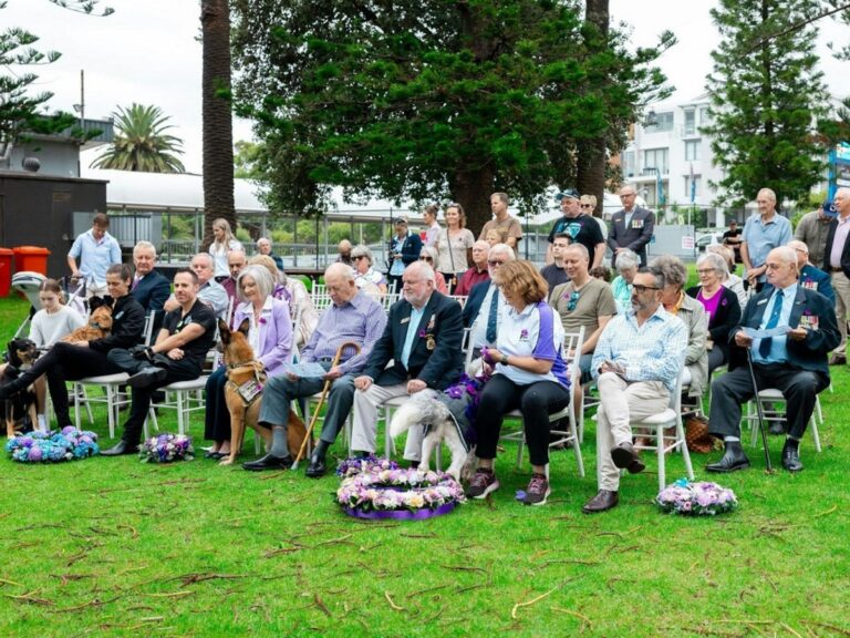 War Animal Day in Cronulla